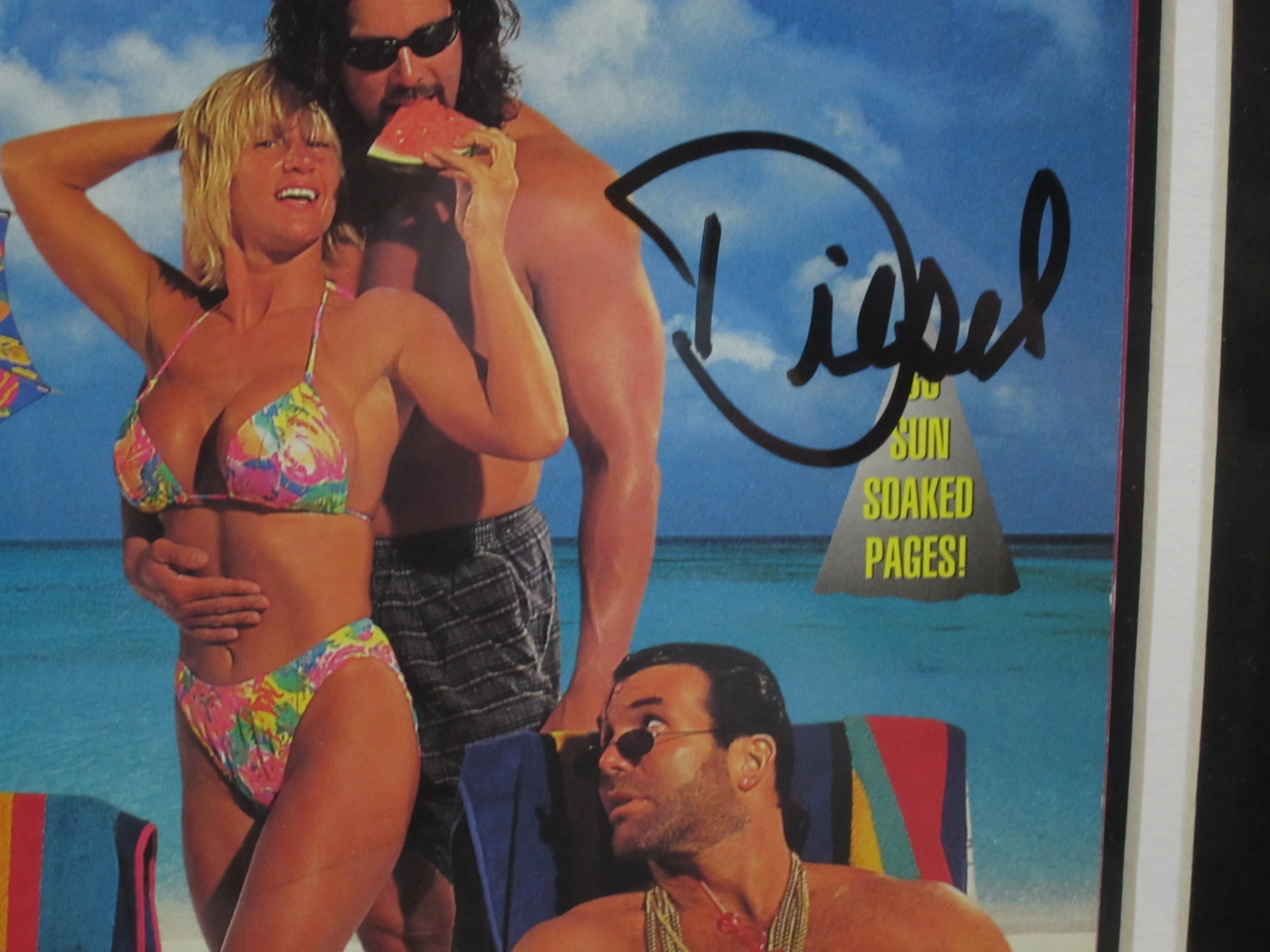 American Professional Wrestler Kevin "Diesel" Nash Hand Signed Autographed 1995 WWF Magazine Framed & Matted with PSA COA