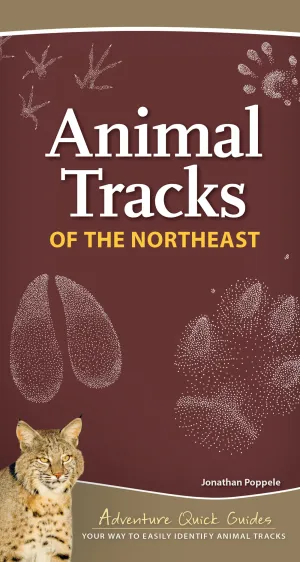 Animal Tracks of the Northeast