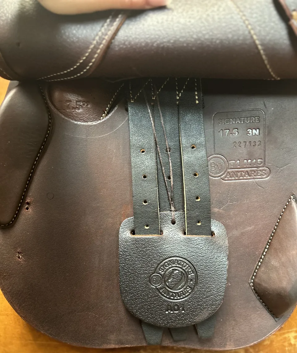 Antarès Signature Jumping Saddle - 17½" - One In Stock
