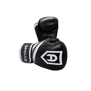 Apollo Boxing Gloves