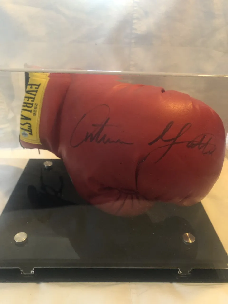 Arturo Gatti Autographed/Hand Signed Boxing Glove