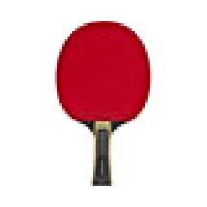 COMP 2 STAR PADDLE