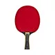 COMP 2 STAR PADDLE
