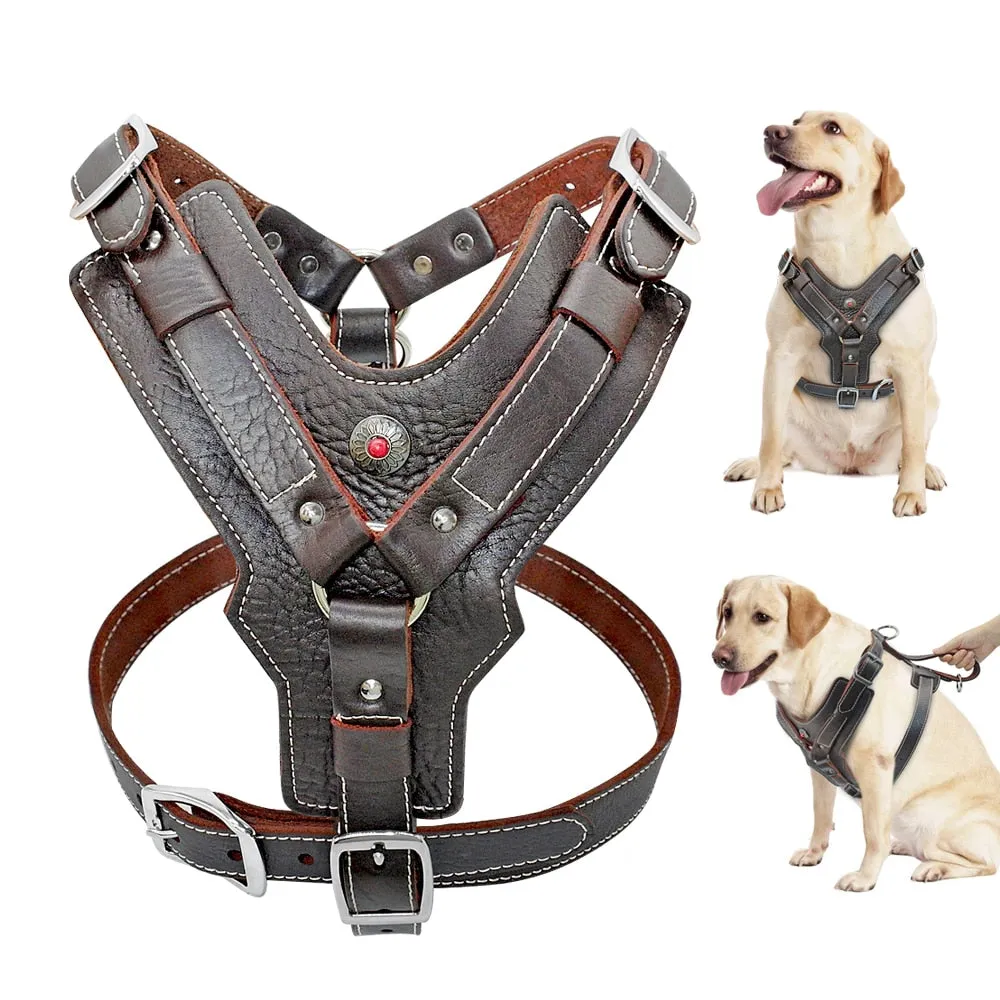 Durable Dog Harness