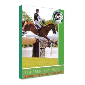 DVD Badminton 2015