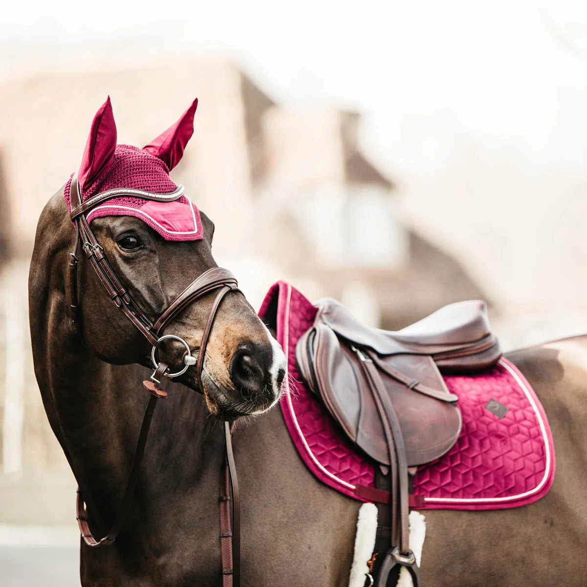 Kentucky velvet Fuchsia saddlepad