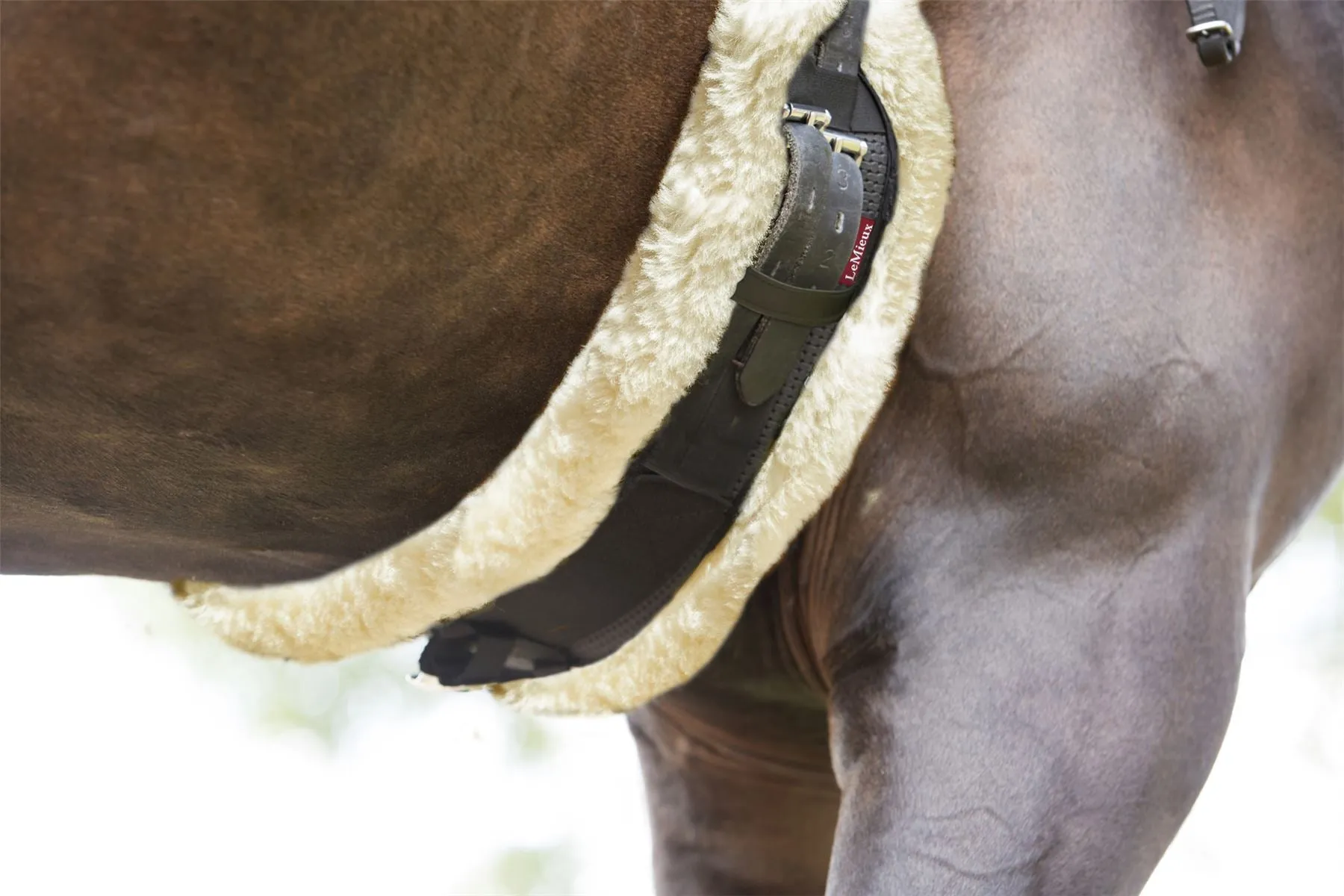 LeMieux Integrated Dressage Girth