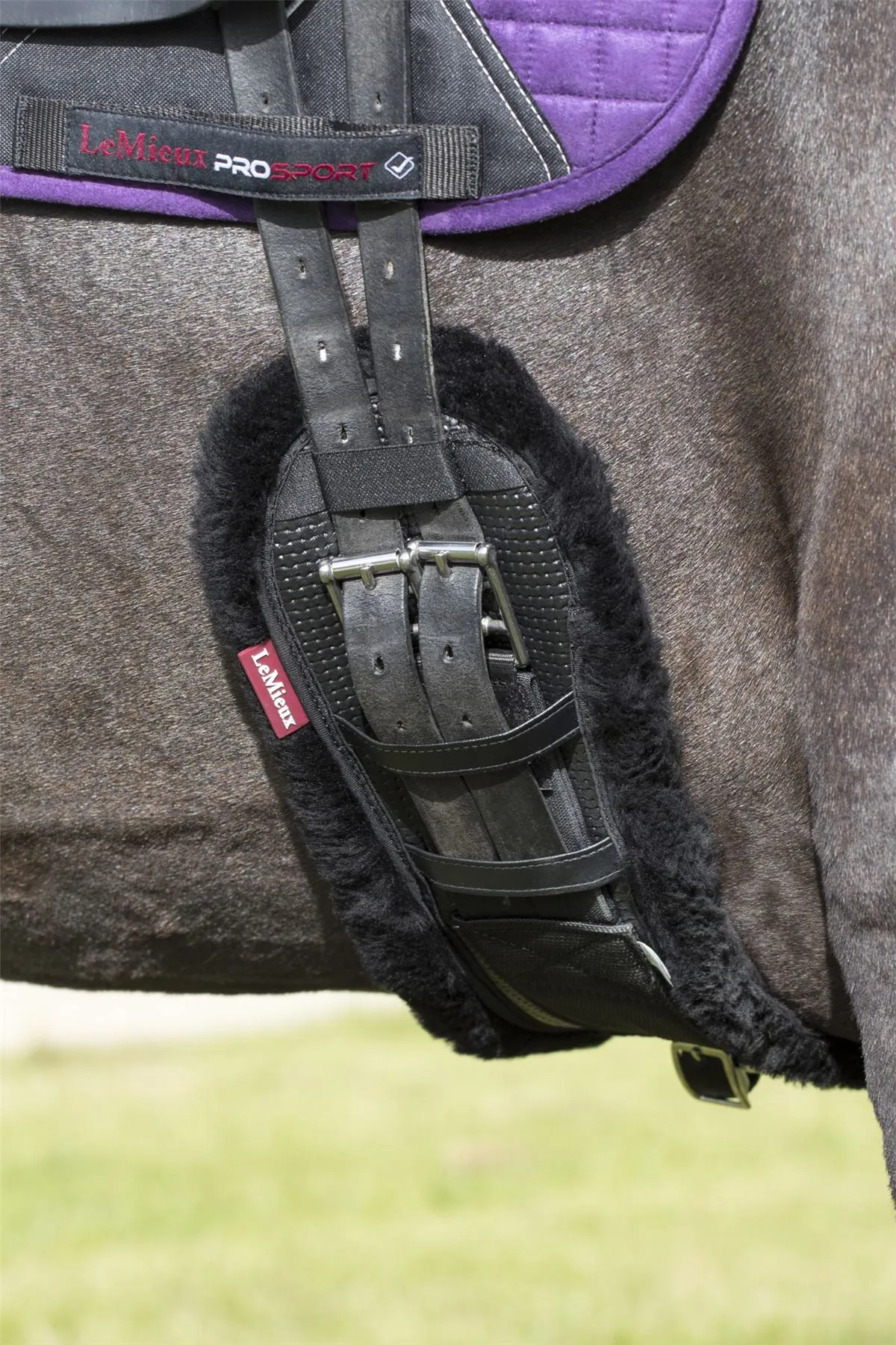 LeMieux Integrated Dressage Girth