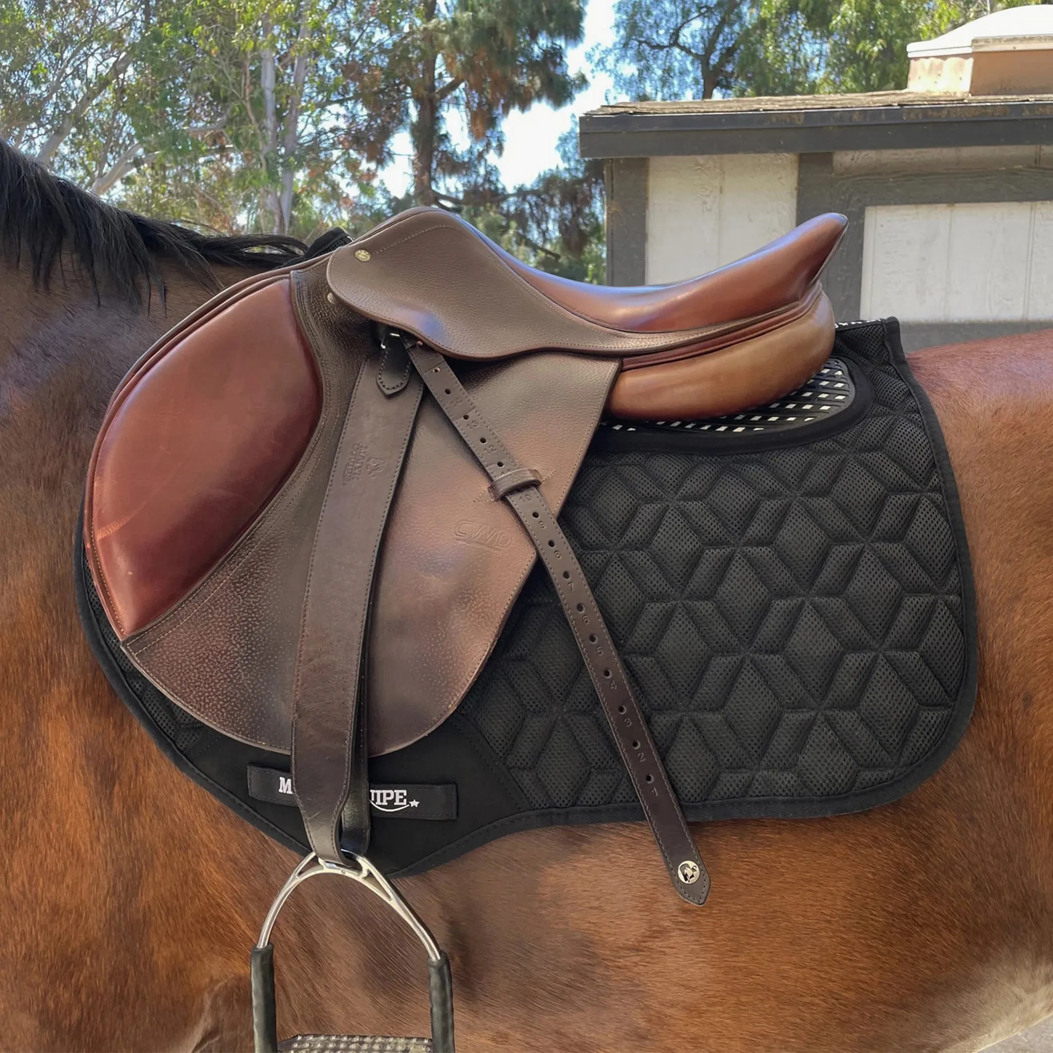 Majyk Equipe Jump Pad Non Slip with Impact Protection Black
