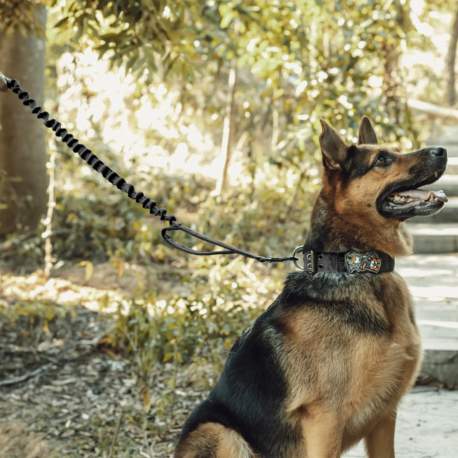 ONETIGRIS Dog Leash 110