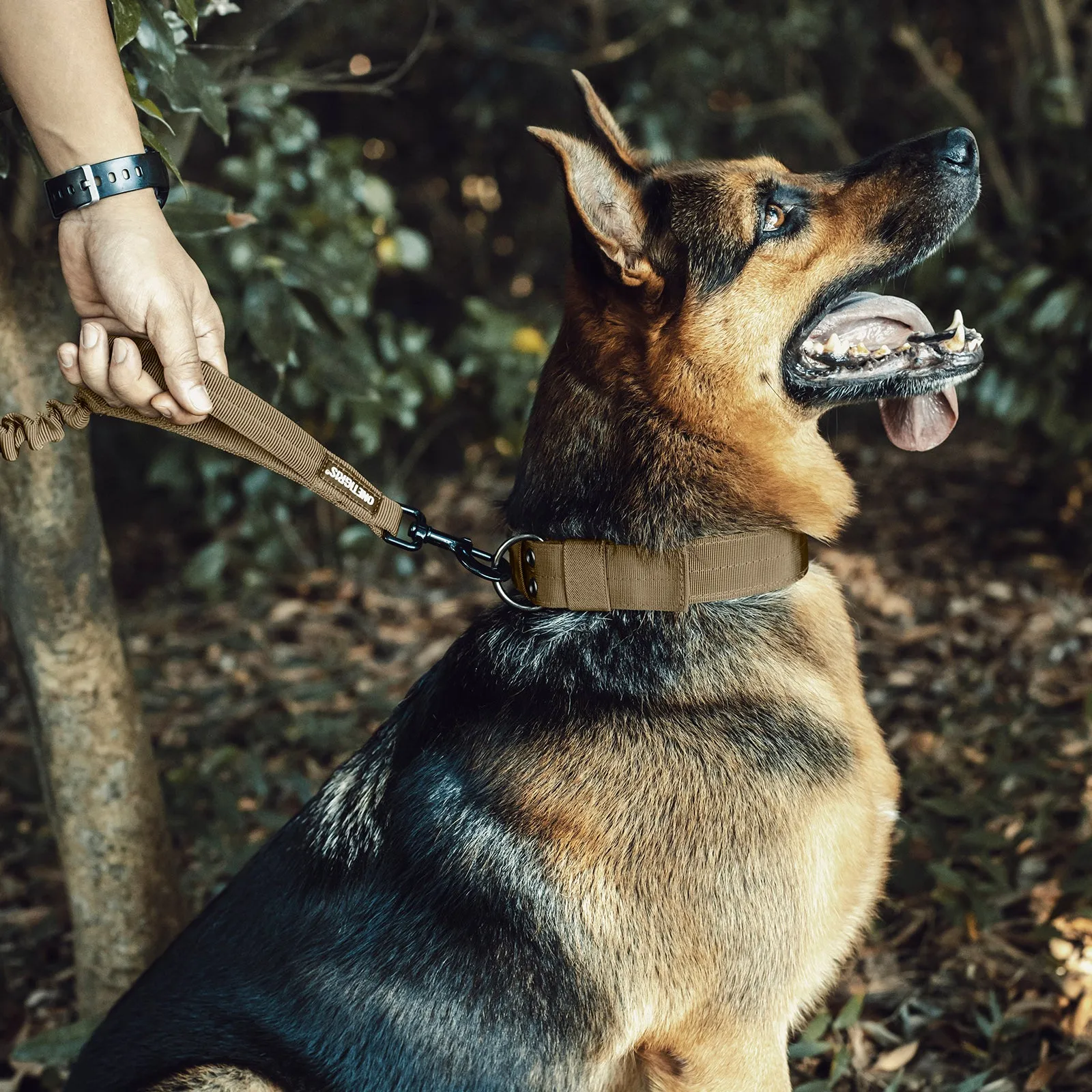 ONETIGRIS Dog Leash 110