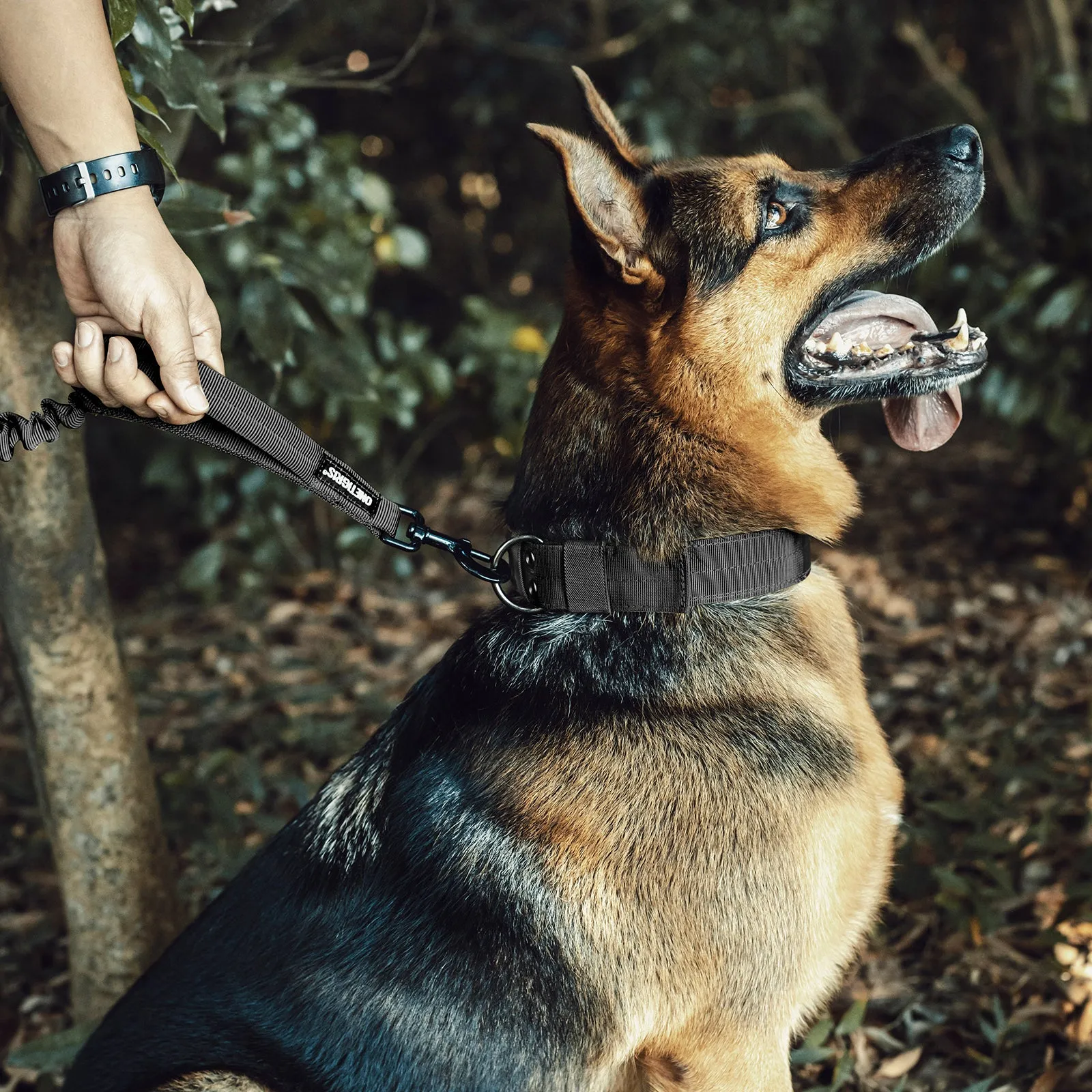 ONETIGRIS Dog Leash 110