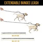ONETIGRIS Dog Leash 110