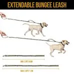 ONETIGRIS Dog Leash 110