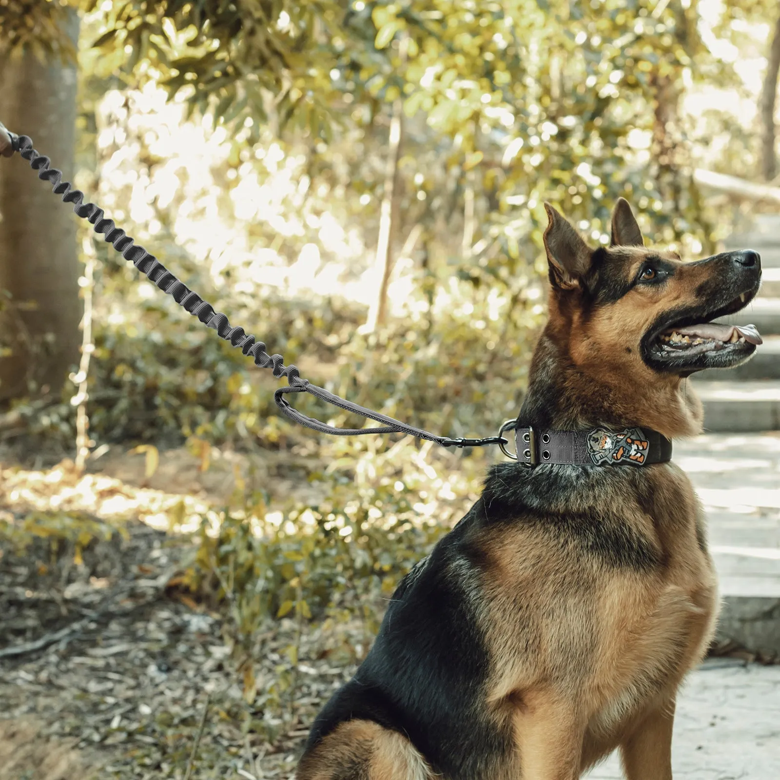ONETIGRIS Dog Leash 110