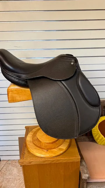 Pegasus Vision #1031