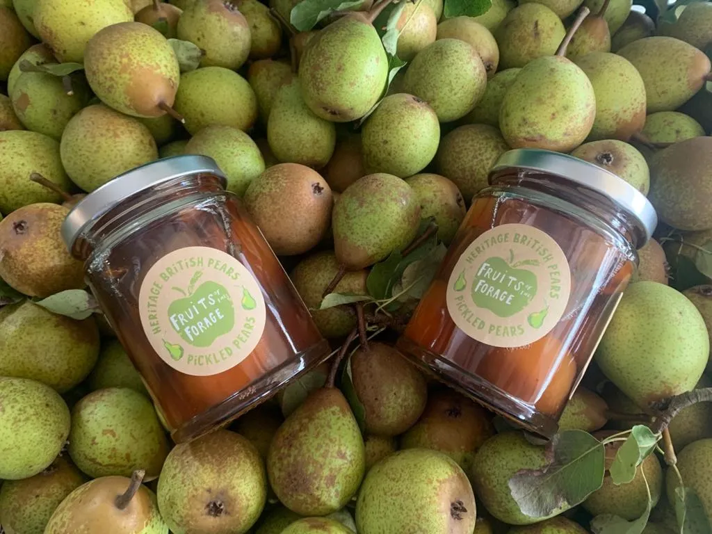 Pickled Pears
