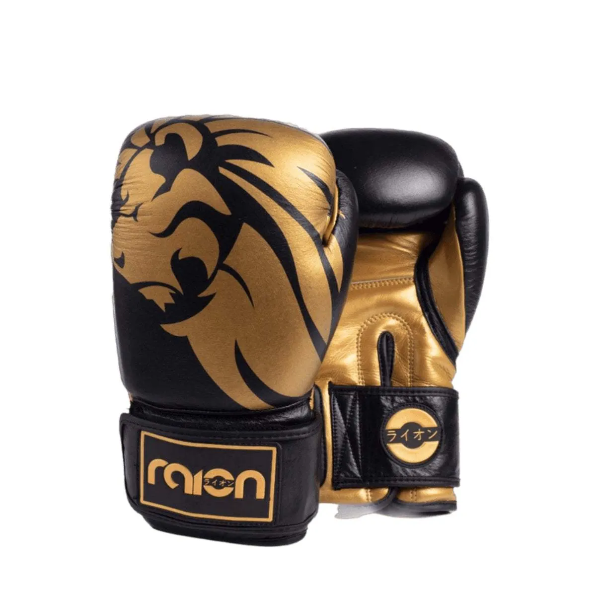 RAION BOXING GLOVES | Boxing Gloves | Training | Sparring Gloves | Safe and Comfy