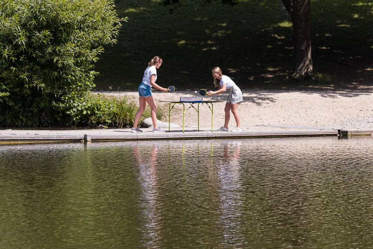 Sunflex Atomic C15 Table Tennis Bat