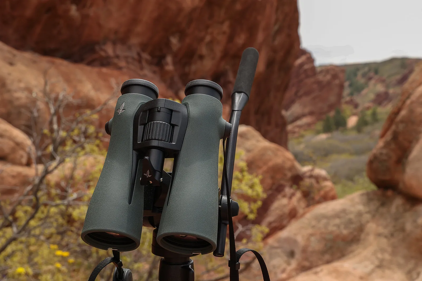 Swarovski NL Pure 14x52 Binoculars 36014
