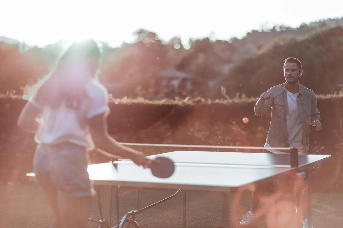 TABLE DE PING PONG EXTÉRIEURE PPT 500.2 BLEUE