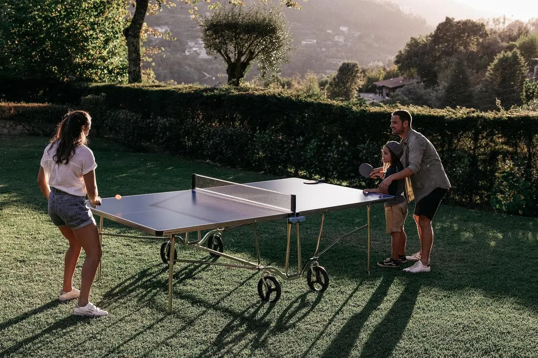 TABLE DE PING PONG EXTÉRIEURE PPT 500.2 BLEUE
