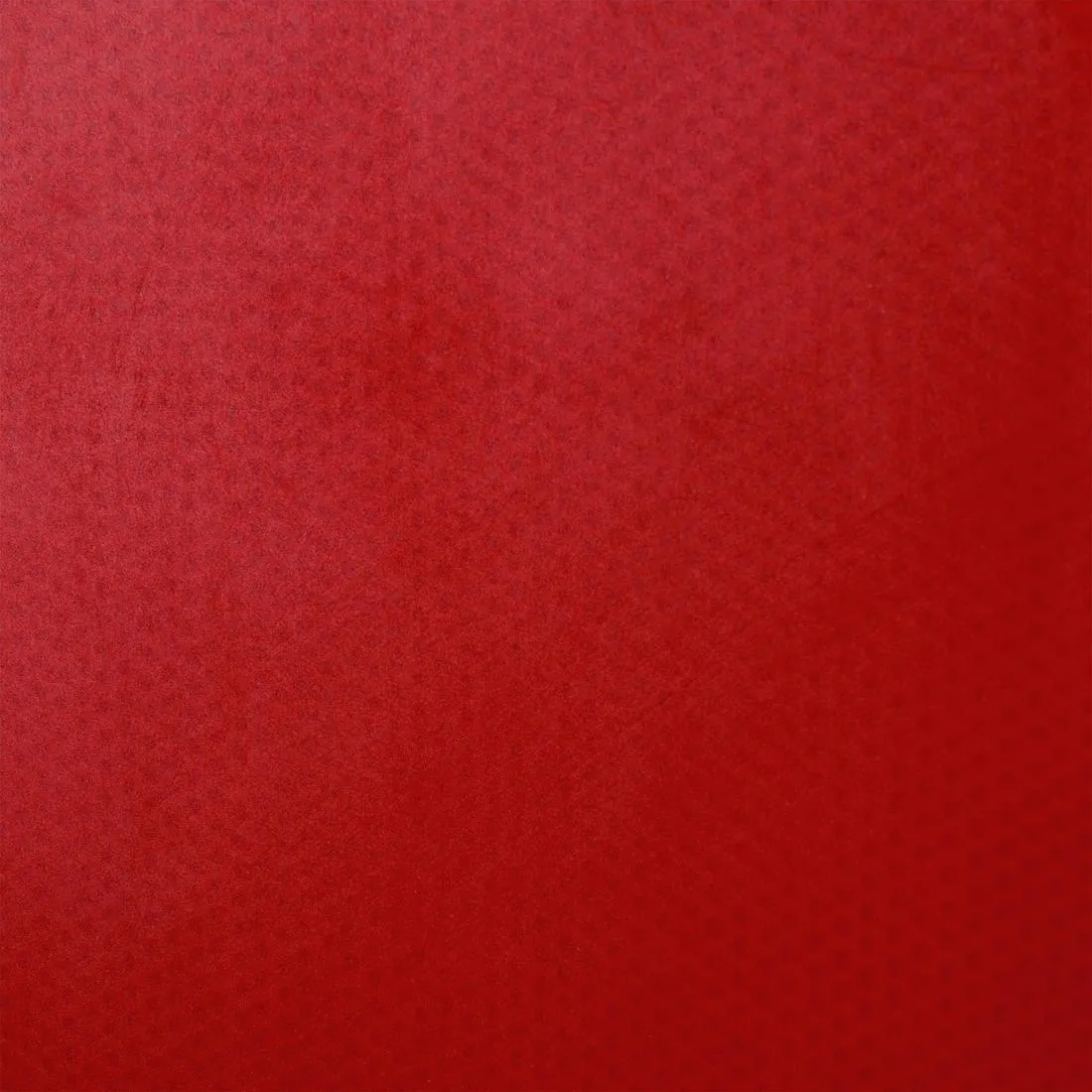Table Tennis Bat PPR 100