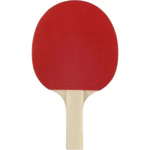 Table Tennis Bat PPR 100
