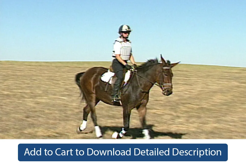 Training Tip - #098 Preliminary Jumping Directives