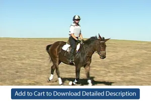 Training Tip - #098 Preliminary Jumping Directives