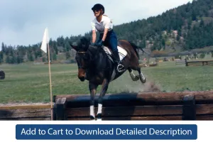 Training Tip - #103 Jumping Positions